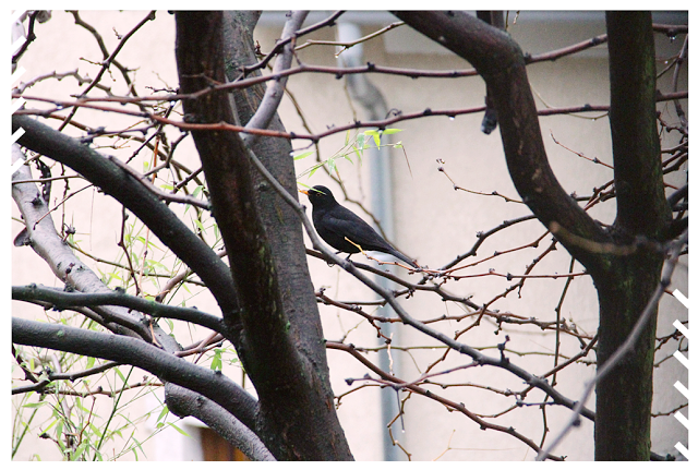 Les Photos du Dimanche #53 Les Photos du Dimanche #53