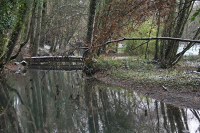 De l'eau de l'Ornain et des forges de Naix De l'eau de l'Ornain et des forges de Naix