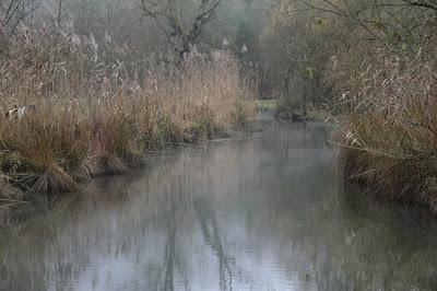 De l'eau de l'Ornain et des forges de Naix De l'eau de l'Ornain et des forges de Naix