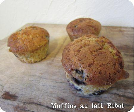 Muffins au lait Ribot et aux mûres sauvages muffins lait ribot (scrap2)