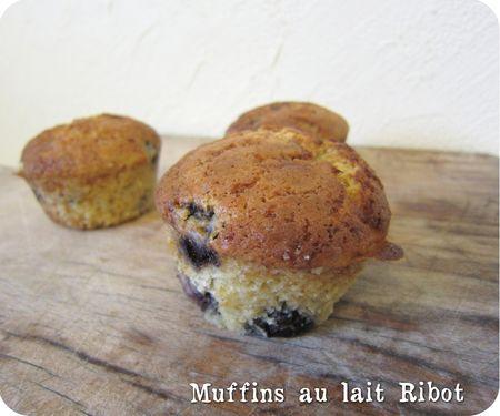 Muffins au lait Ribot et aux mûres sauvages muffins lait ribot (scrap3)