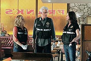 Quand les policiers changent de disque… CSI-Season-13-Episode-2-Code-Blue-Plate-Special-1.jpg