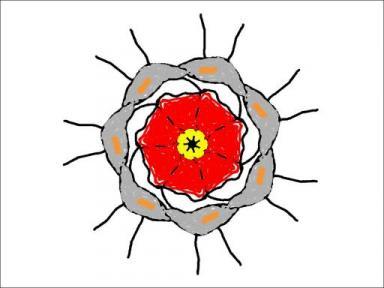 Mandalas Fichier hébergé par Archive-Host.com