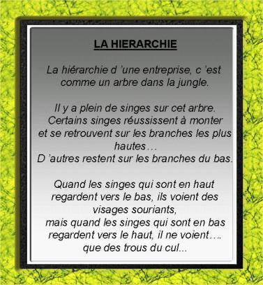 Hiérarchie Hiérarchie