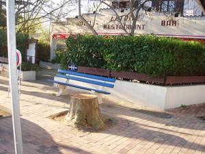 DEVELOPPEMENT DURABLE PLACE DE L'ETOILE ANDERNOS arrachage_platanes_place_de_l__toile_andernos_avril_2008__4_