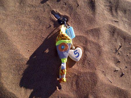 une sardine égarée dans le désert porte-clef sardine