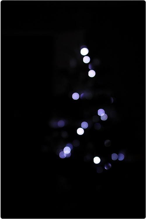 La magie de Noël La magie de Noël