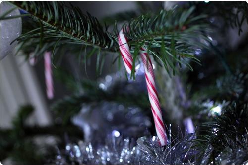 La magie de Noël La magie de Noël