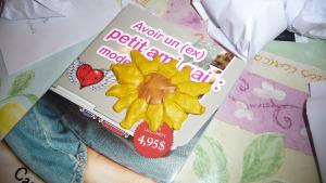 SWAPs et Noël P1100852