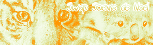 SWAPs et Noël swap-soeurs-de-noel