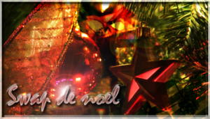 SWAPs et Noël swapde10