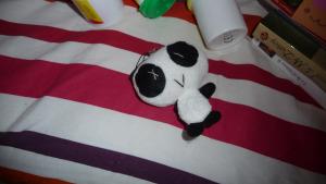 SWAPs et Noël P1100978