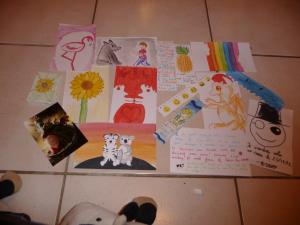 SWAPs et Noël P1100983