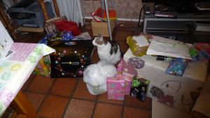 SWAPs et Noël P1100684