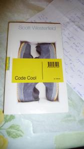 SWAPs et Noël P1100894