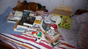 SWAPs et Noël P1100981