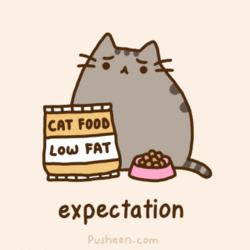 dietexpectation