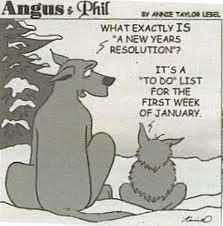 Les bonnes résolutions…