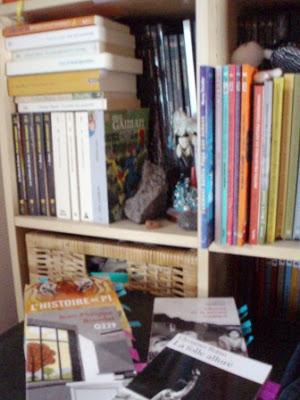 Dans la bibliothèque adulte Dans la bibliothèque adulte