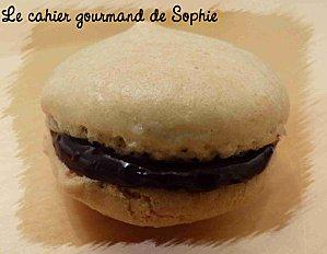 Macarons chocolat fleur de sel, grué de cacao macarons-chocolat-fleur-de-sel.jpg