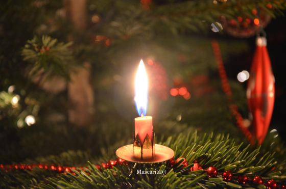 Travel Size #1 Image10