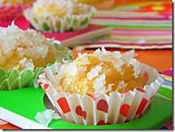 boule_noix_de_coco2 boule_noix_de_coco2