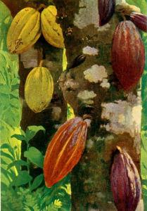 Les enfants-esclaves dans le monde... et l'industrie du cacao ! (2 de 2) Les enfants-esclaves dans le monde... et l'industrie du cacao ! (2 de 2)