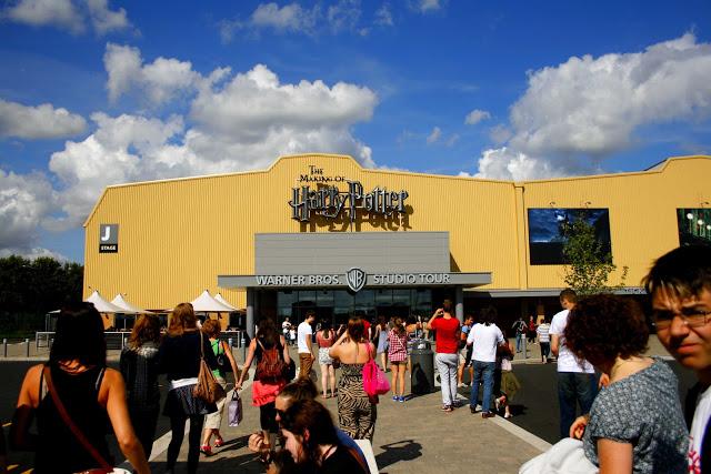 Cotton flower Cotton flower