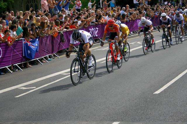 Cotton flower Cotton flower