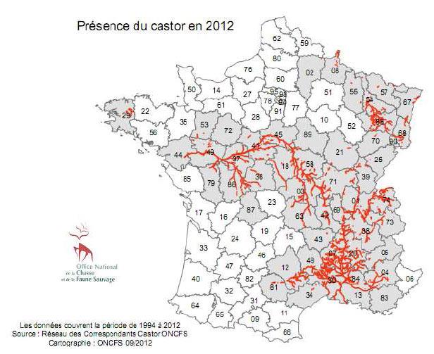 La situation du castor en France
