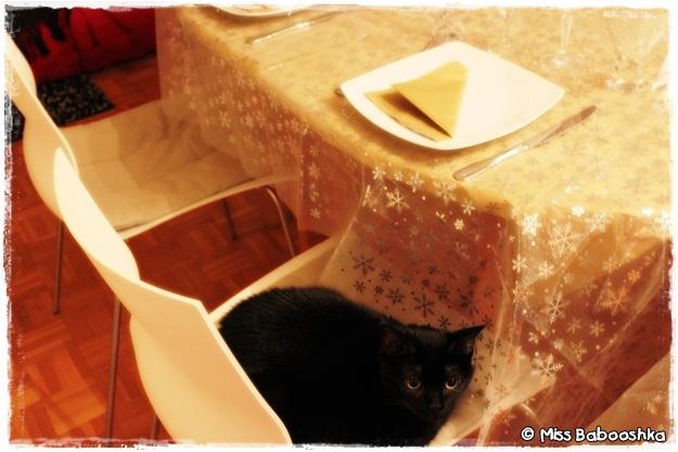 Projet 52 - 52. Celle qui attendait le Réveillon 52_zps731010e8.jpg