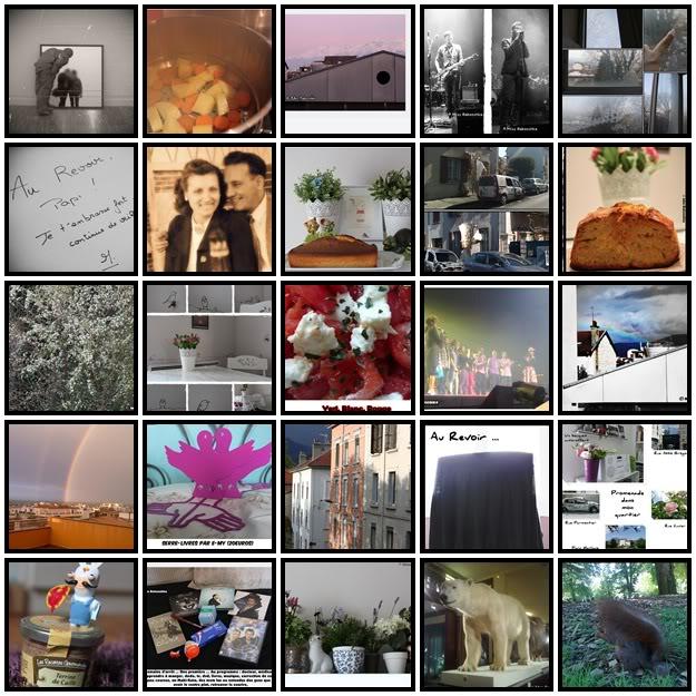 Projet 52 - 52. Celle qui attendait le Réveillon 25photos.jpg