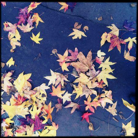 aunomi 366 - novembre 2012 20