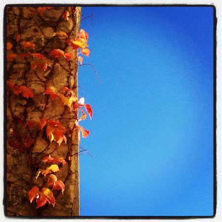 aunomi 366 - novembre 2012 03