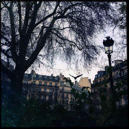 aunomi 366 - novembre 2012 28