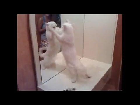 Exellente année 2013 ! Miniature