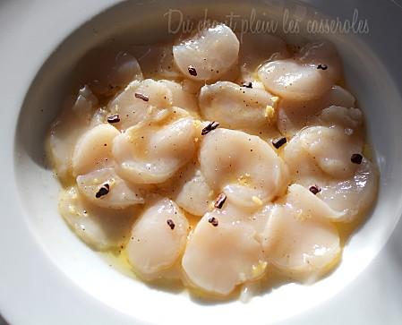 Entrée en 2013. Carpaccio de Saint-Jacques gingembre, vanille et grué de cacao Carpaccio St Jacques 2
