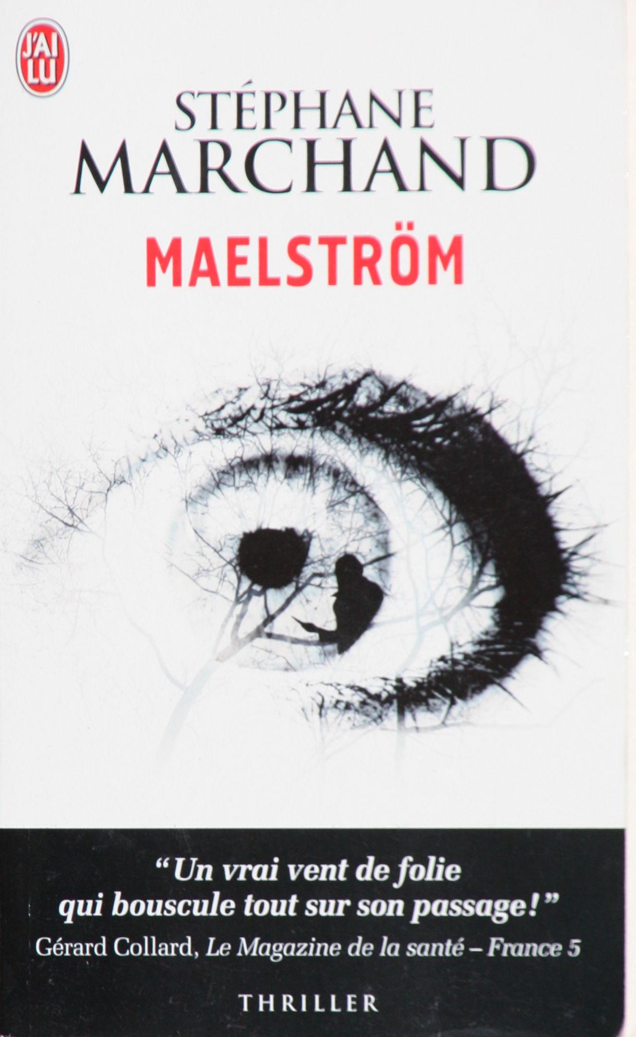 MY BOOKS BEST OF 2012 http://p8.storage.canalblog.com/81/78/838515/80335430_o.jpg