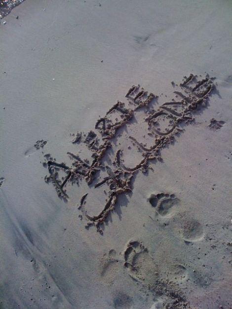 Moins de 24 heures avant le cyclone Dumile arrive sur la Réunion; alerte orange et rouge demain!