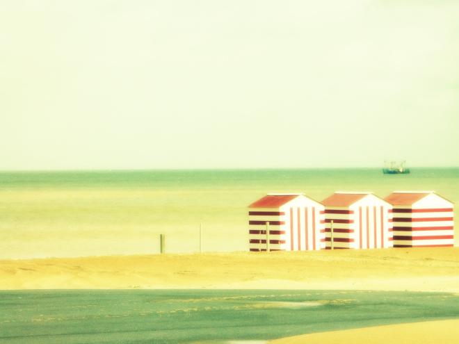 Deux mille douce Minolta DSC