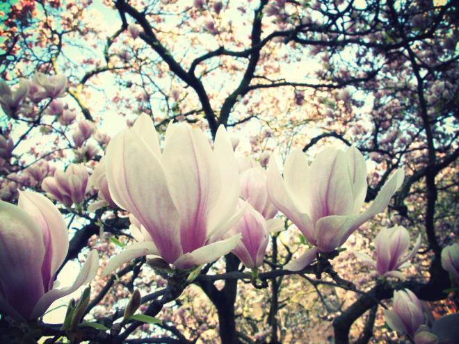 Deux mille douce 03mars