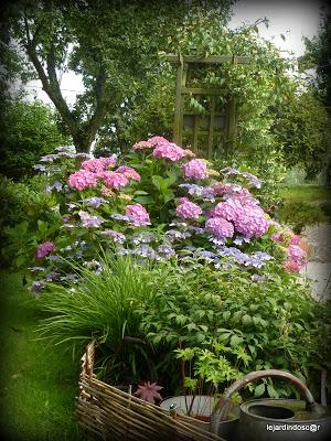 Juillet au jardin... Juillet au jardin...