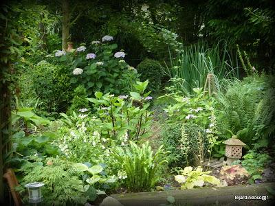 Juillet au jardin... Juillet au jardin...