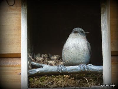Juillet au jardin... Juillet au jardin...