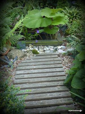 Juillet au jardin... Juillet au jardin...