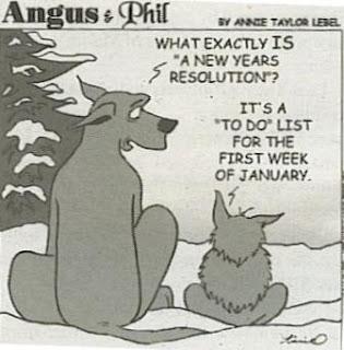 Quelles sont vos bonnes résolutions pour 2013