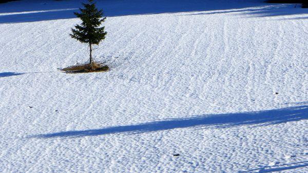 Parenthèse enneigée #2 P1000504