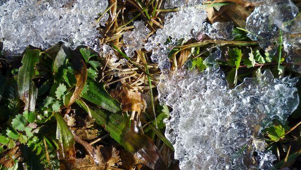 Parenthèse enneigée #2 P1000467