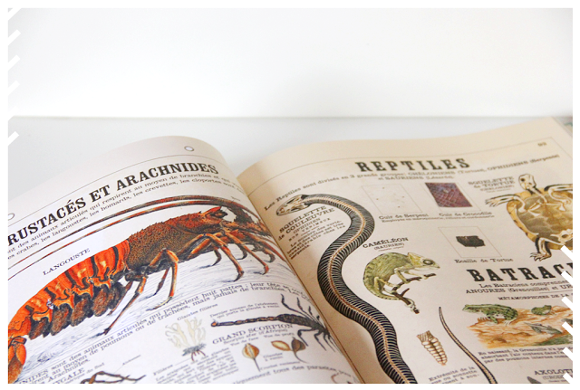 Christmas Gift Christmas Gift