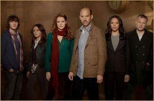 Les séries que j'attends le plus en 2013 sont... 20108148